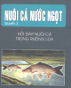 Ebook Nuôi cá nước ngọt: Quyển 3 - Bùi Huy Cộng, Đỗ Đoàn Hiệp
