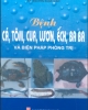 Ebook Bệnh cá, tôm, cua, lươn, ếch, ba ba và biện pháp phòng trị - KS. Nguyễn Xuân Giao