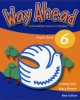 Ebook Way ahead pupil’s Book 6 - A foundation course in English: Phần 2